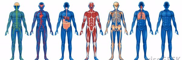 dan_martin321 Profile Banner