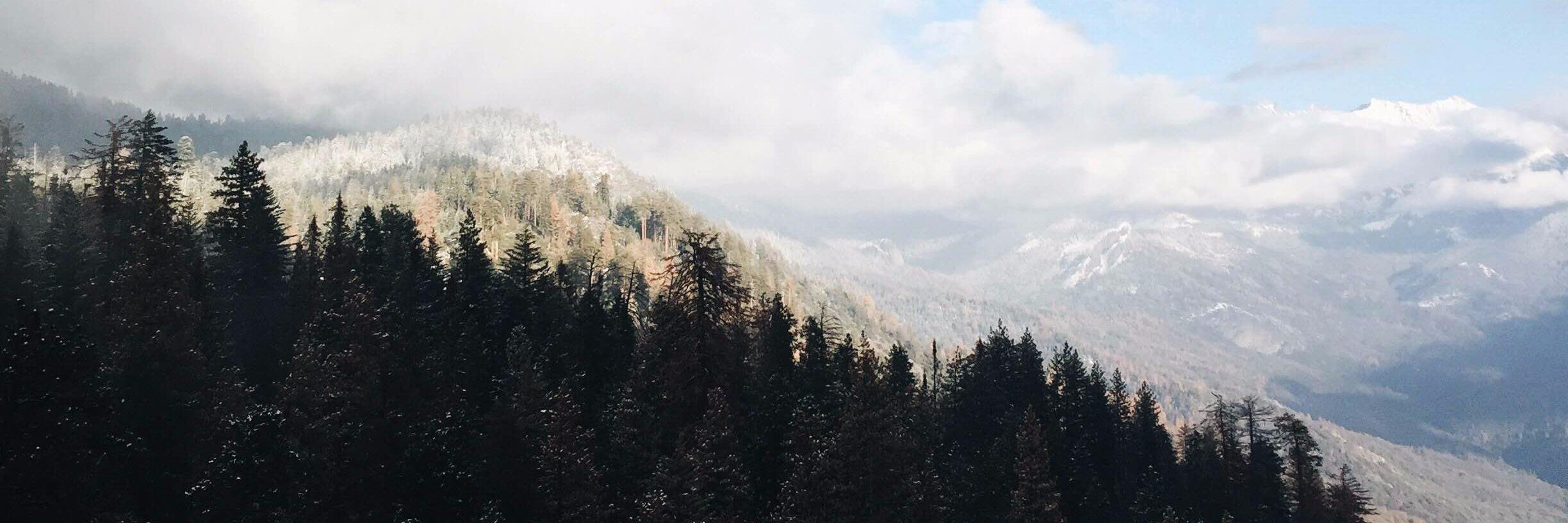 _jnnffrr's profile banner image