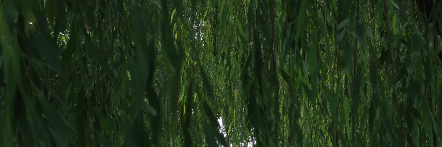 jekw's profile banner image
