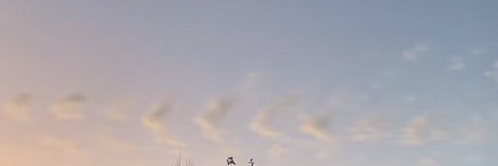 PaynePromise's profile banner image