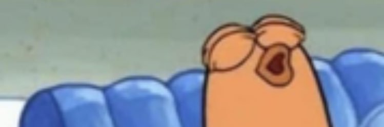 Lilly_Velke's profile banner image