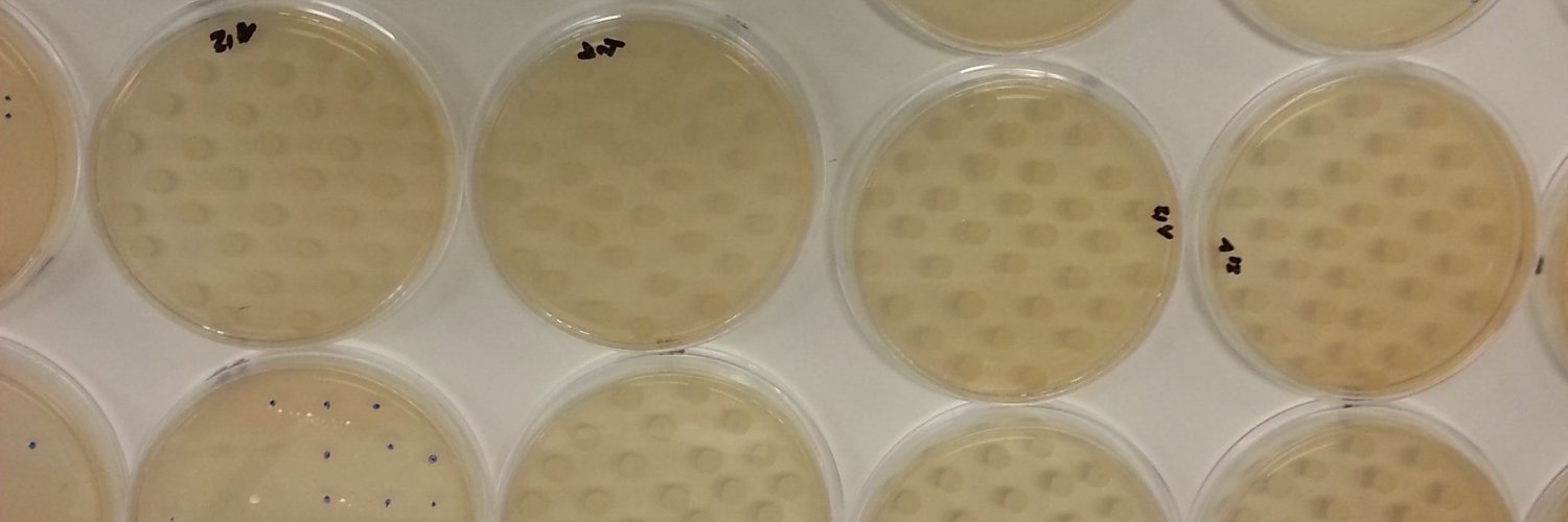 Aaron Heffernan banner