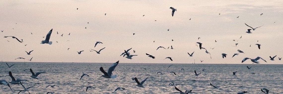 GozdeGumuss's profile banner image