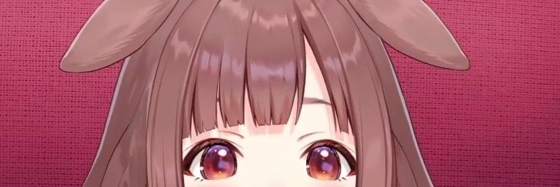 Nena banner