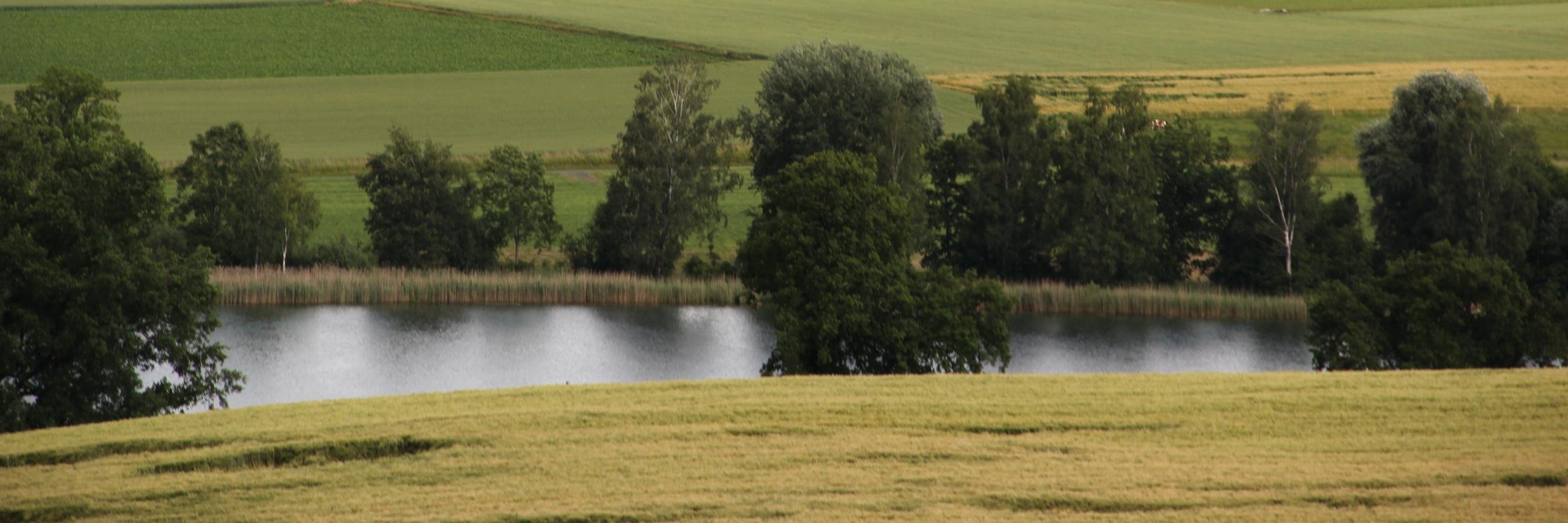 Stefan Lehmann banner