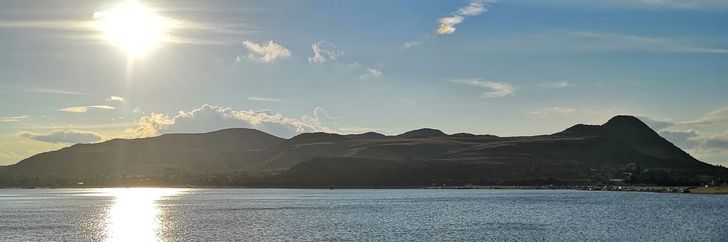 Ferblomster's profile banner image
