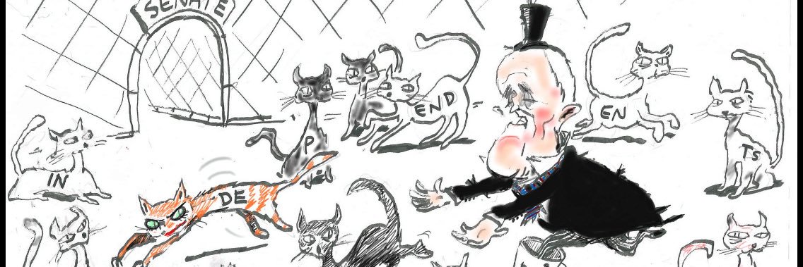 APHCatWatch's profile banner image
