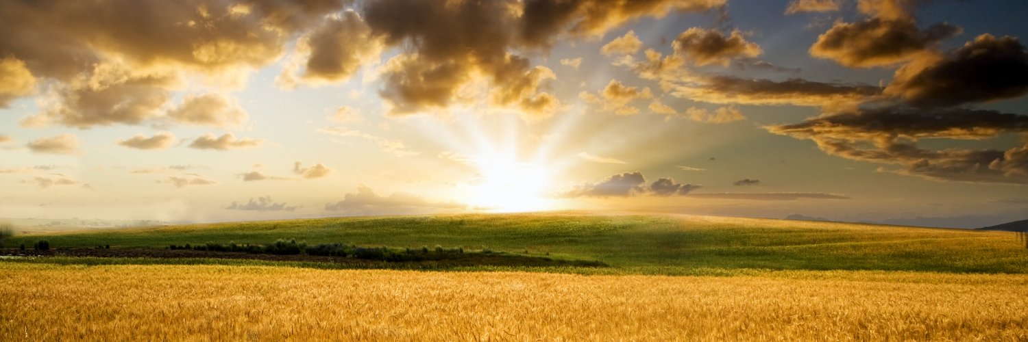 OnEveryWord's profile banner image