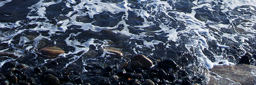 The Voyage Project banner