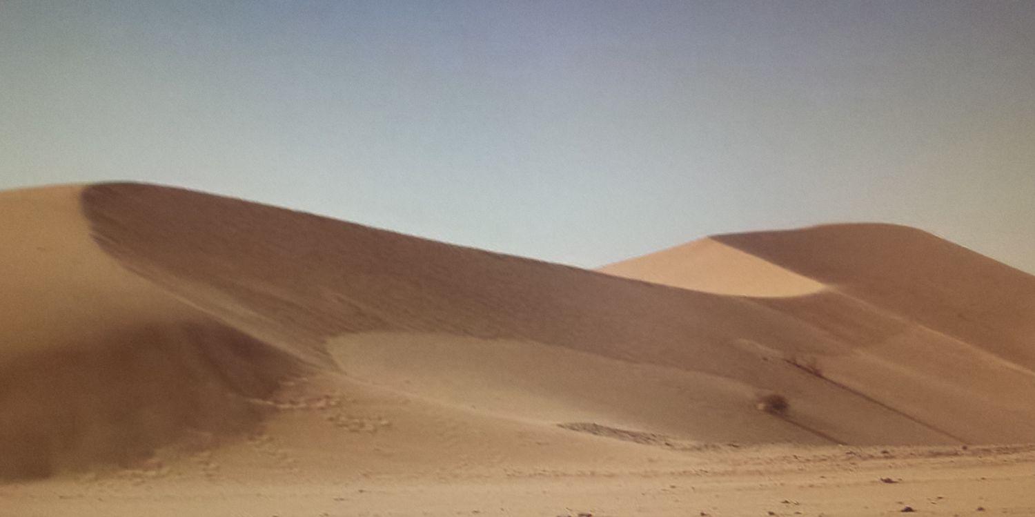 ناقي بن حمدان banner