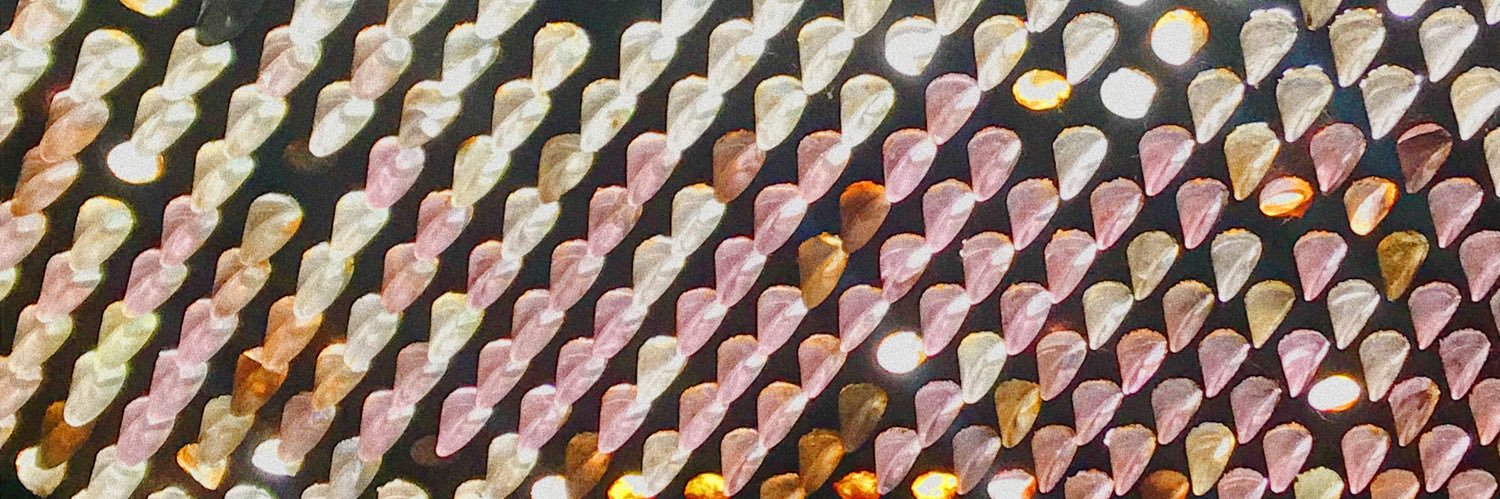 micslix's profile banner image