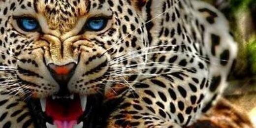 Pirulettiii's profile banner image