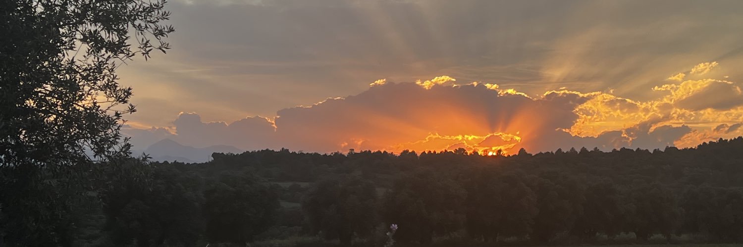 ebaconbe's profile banner image