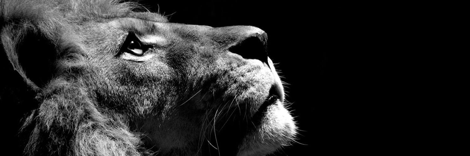 Antb_13's profile banner image