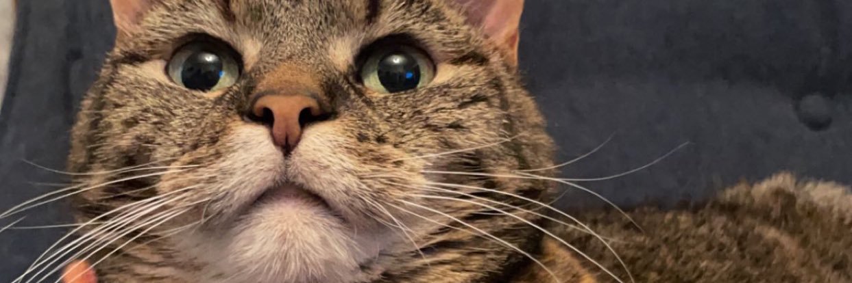 coldbitch42's profile banner image