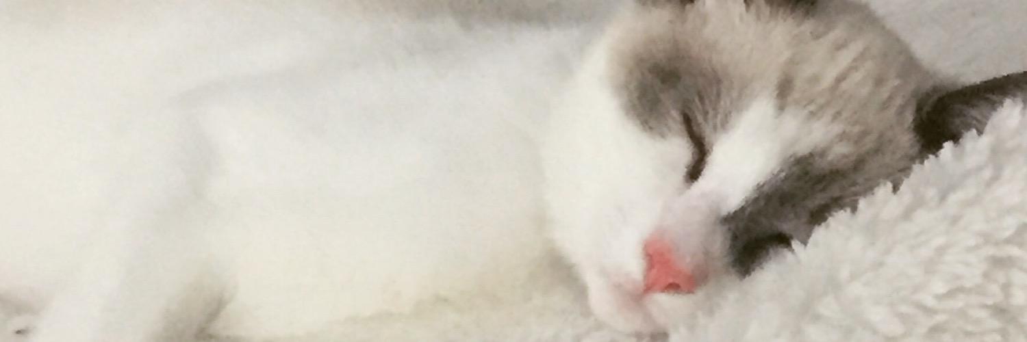 Kthrasher13's profile banner image