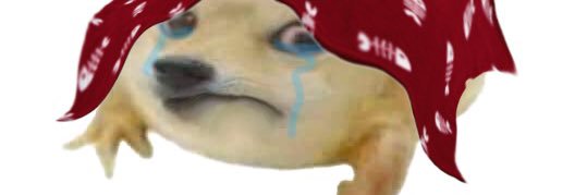 excruciating__'s profile banner image