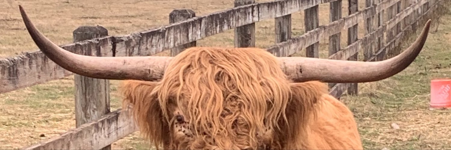 kellenhall's profile banner image