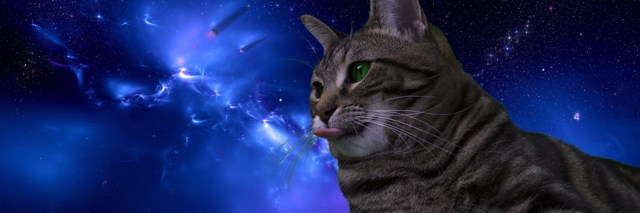 MI_Tennant's profile banner image
