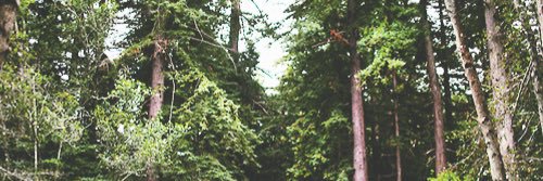 justinsaurora's profile banner image