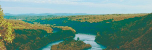 This Week Magazine banner