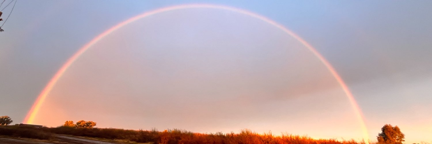 AnaLudue's profile banner image