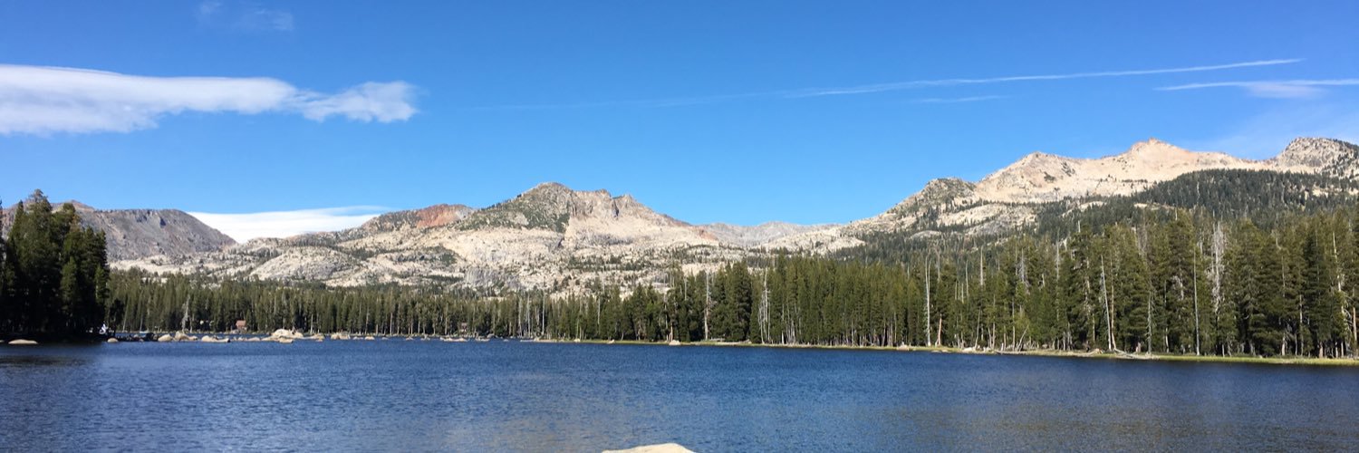djelliottt's profile banner image