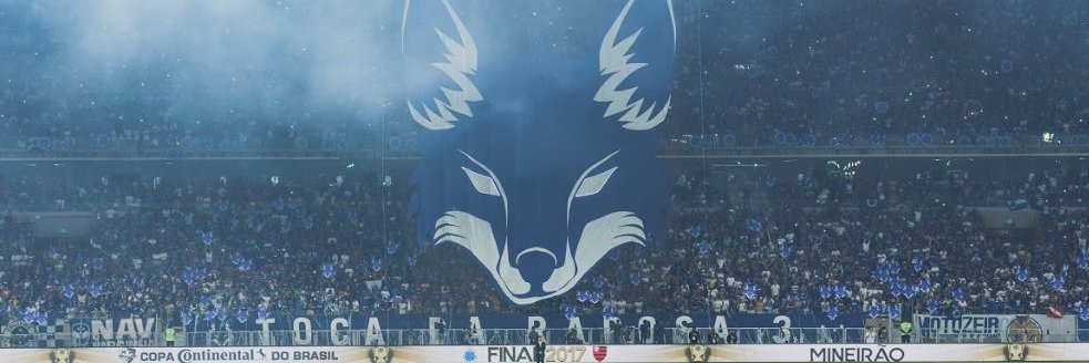Washington 🦊 banner