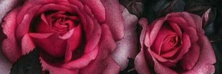 ddd1001ss's profile banner image