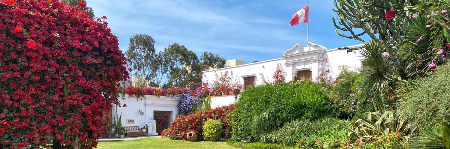 MuseoLarco's profile banner image
