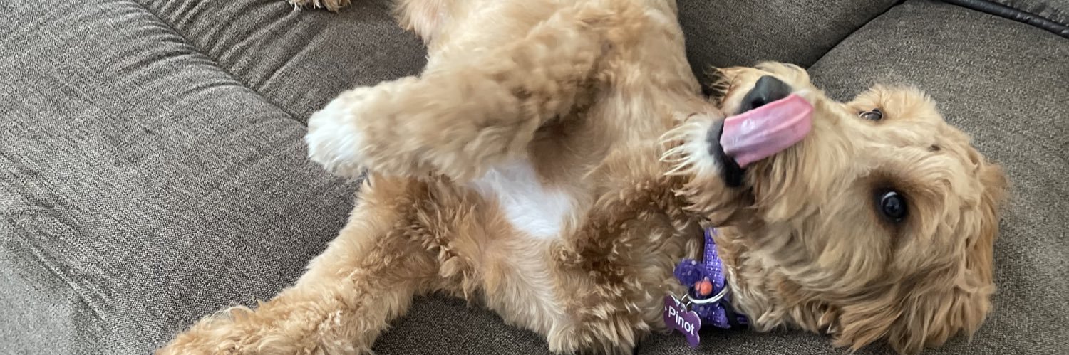 Sophie Farrell banner