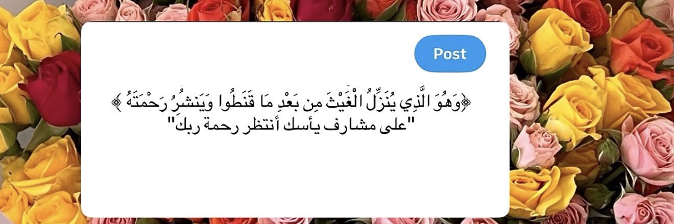 nouf9_s's profile banner image