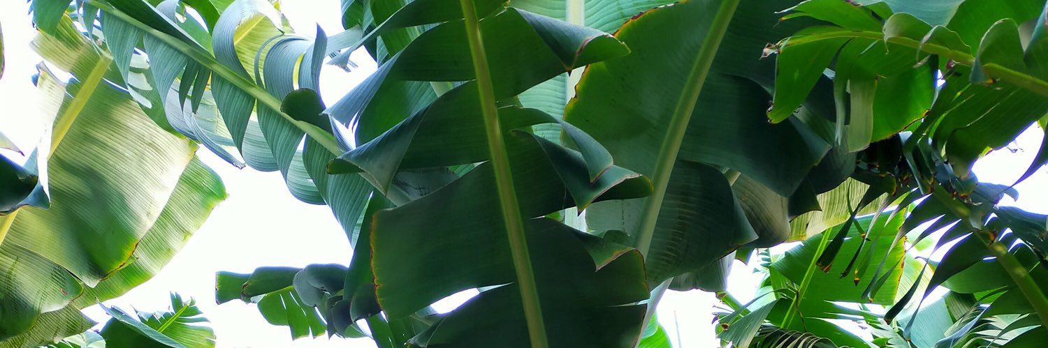 paloma2g's profile banner image