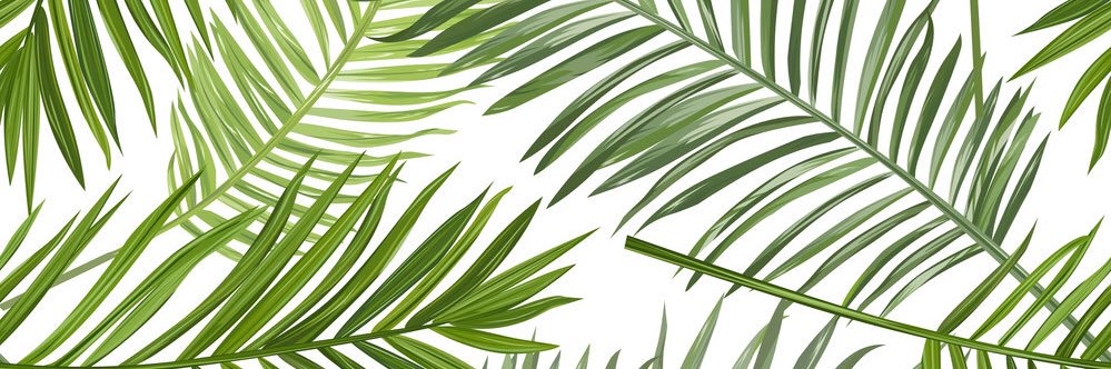 Katiemlebsack's profile banner image