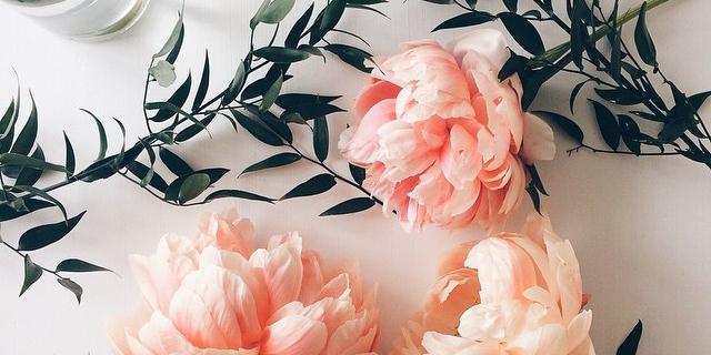 lipeng89's profile banner image