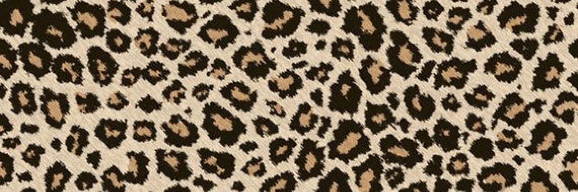 EmilyKnipe12's profile banner image