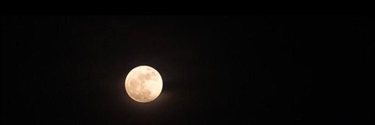 noufXo's profile banner image