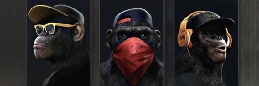 Kong Dong 🧡₿ ᛤ 🦍💨 banner