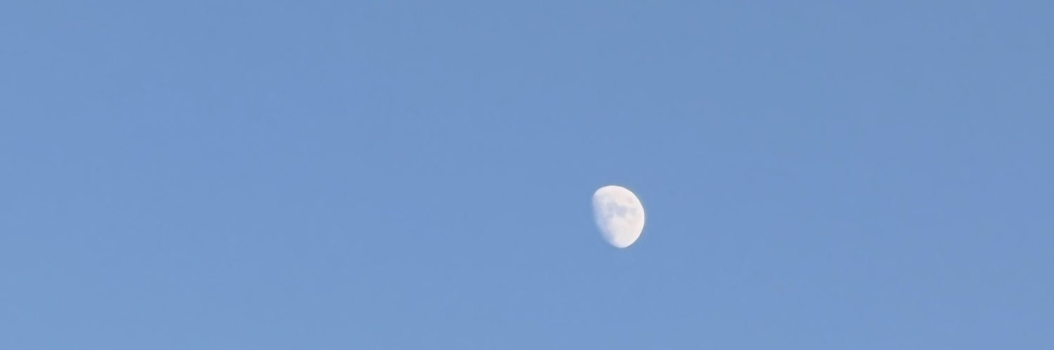 ellbellv's profile banner image