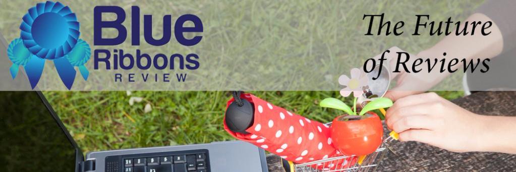 BlueRibbonsRev's profile banner image