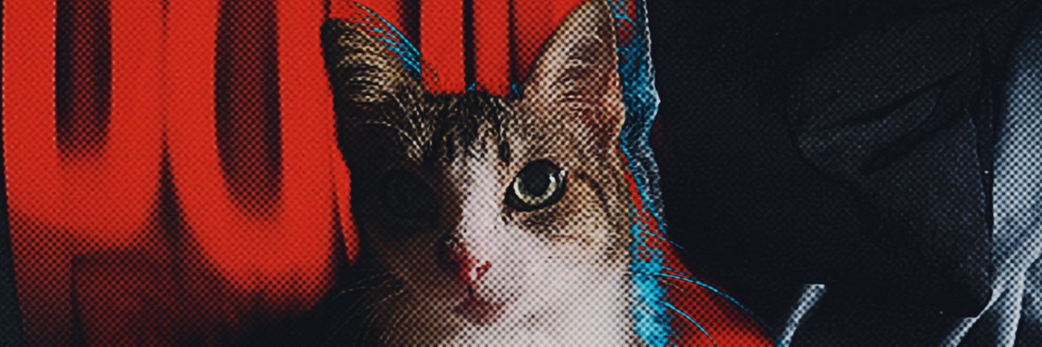 Tonnunss's profile banner image