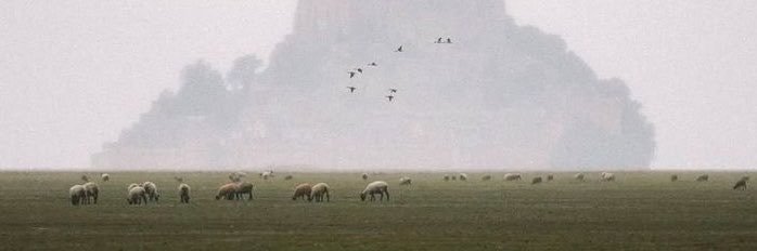 0rdep3's profile banner image