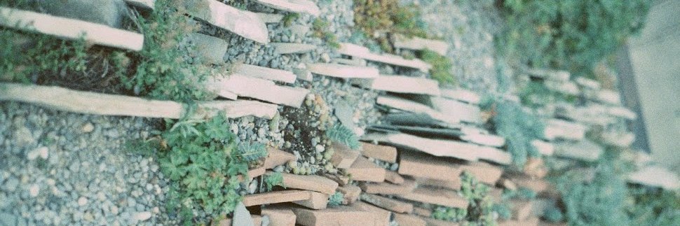 _evgeny_s's profile banner image