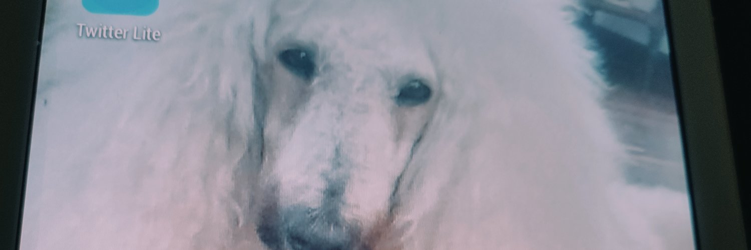 lopezsanro's profile banner image