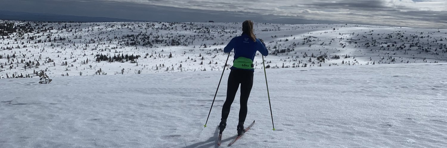 Anna Ravndal banner