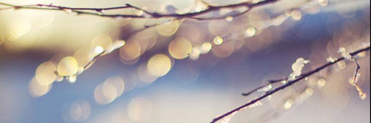 sar_koch's profile banner image