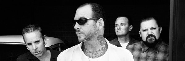 SocialD1 Profile Banner