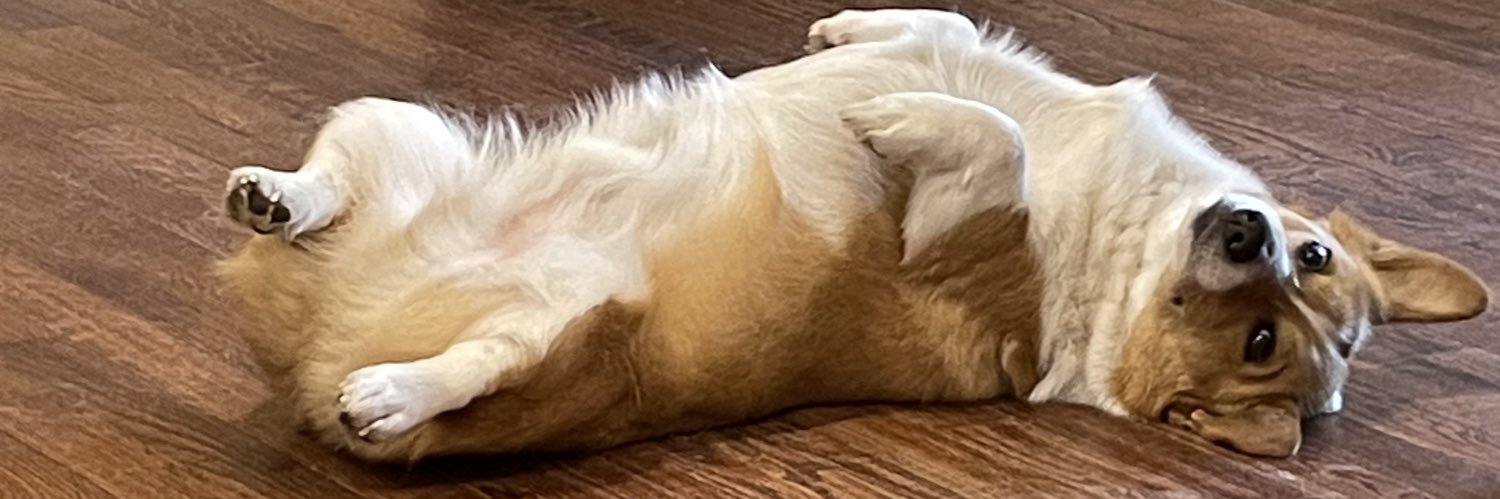 LeahJSimmons's profile banner image