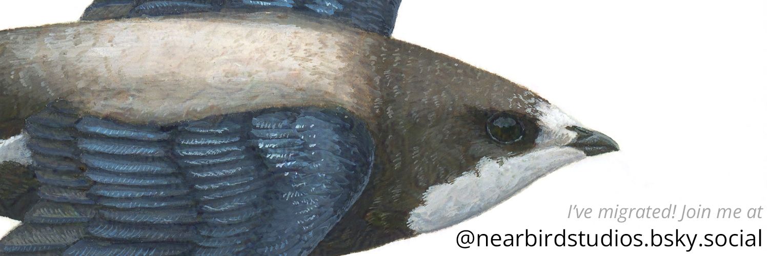 NearBirdStudios's profile banner image