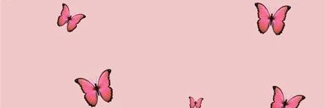 SofiLuchessi's profile banner image